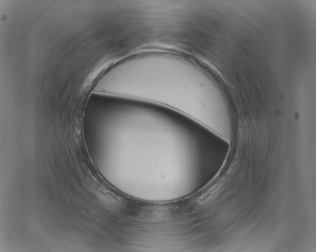 X0000063511355200601201041
