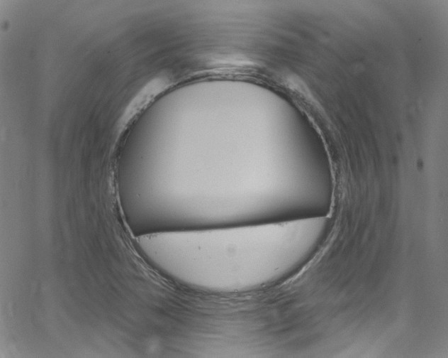 X0000063511362200601201041