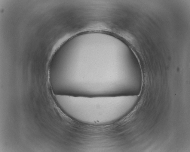 X0000063511366200601201041