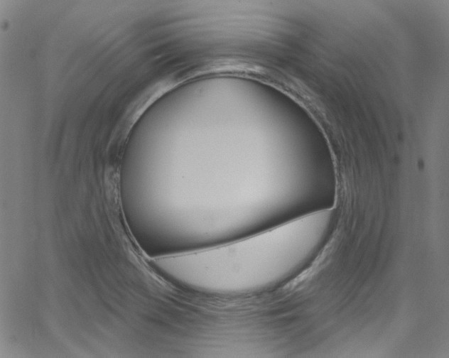 X0000063511369200601201041