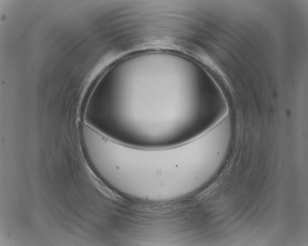 X0000063511372200601201041