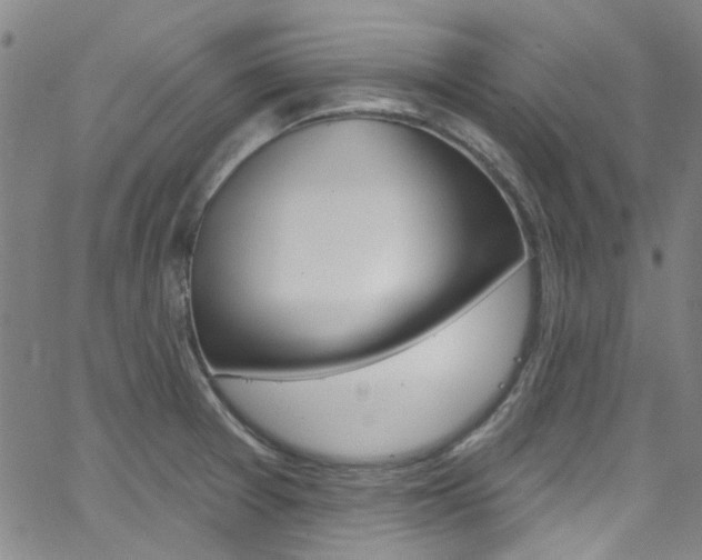 X0000063511377200601201040