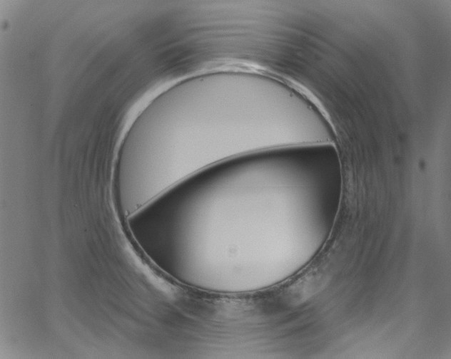 X0000063511379200601201040