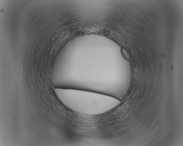 X0000063511393200601201039