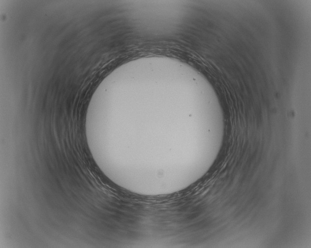 X0000063511394200601201039