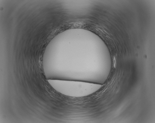 X0000063511395200601201039