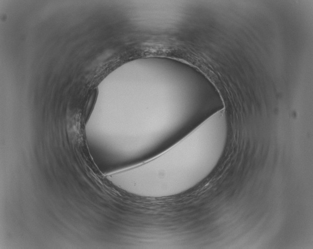 X0000063511396200601201039