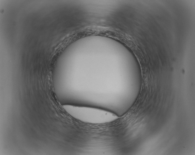 X0000063511397200601201039