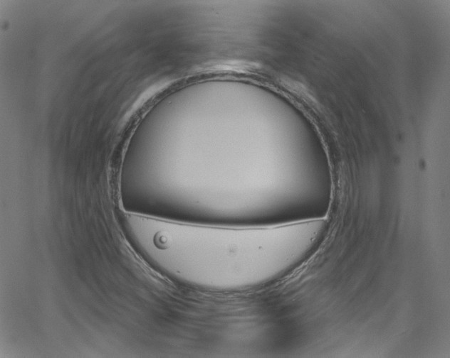 X0000063511404200601201040