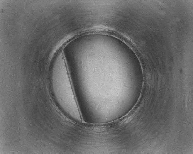 X0000063511410200601201040