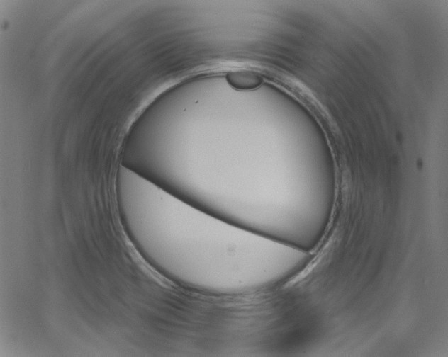 X0000063511417200601201040