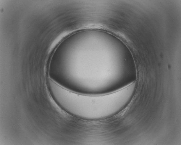 X0000063511422200601201040