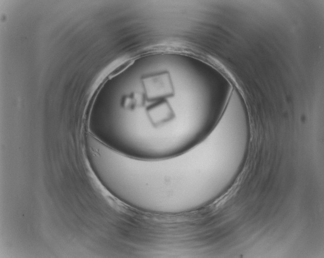 X0000063511434200601201040