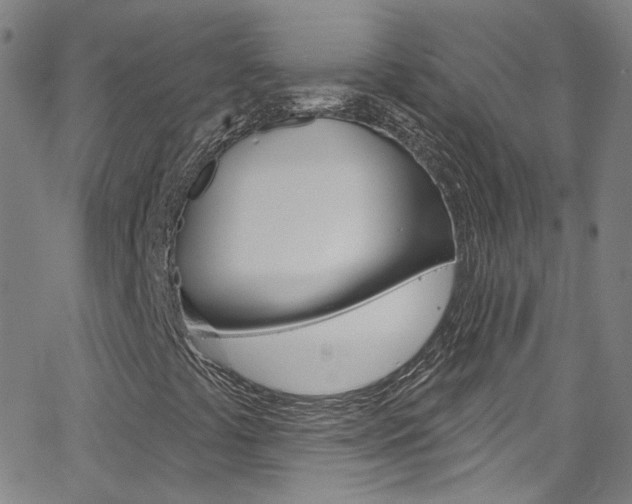 X0000063511441200601201039