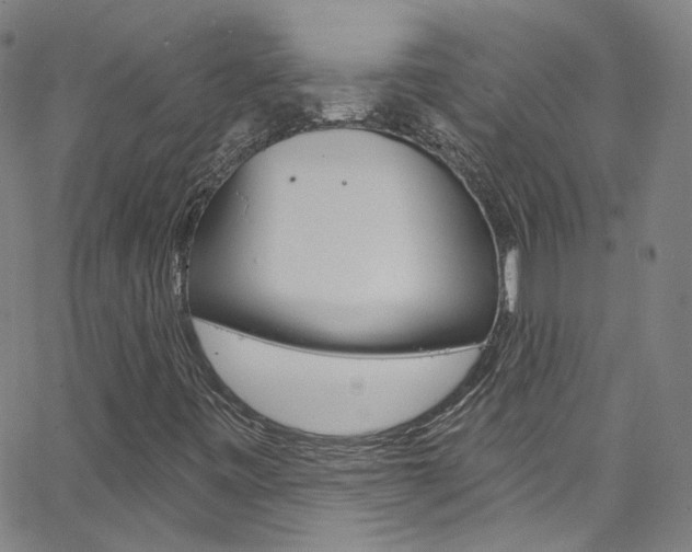 X0000063511443200601201039