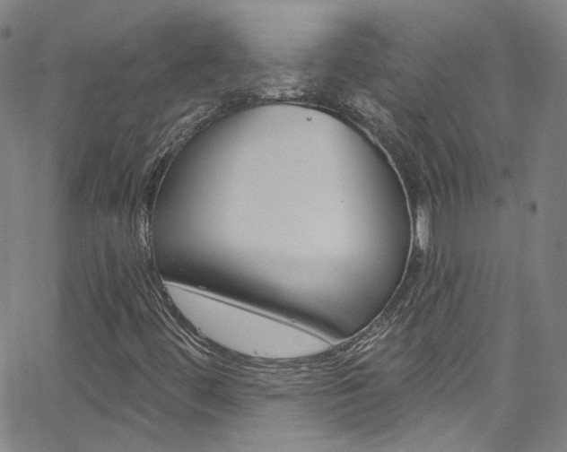 X0000063511444200601201039