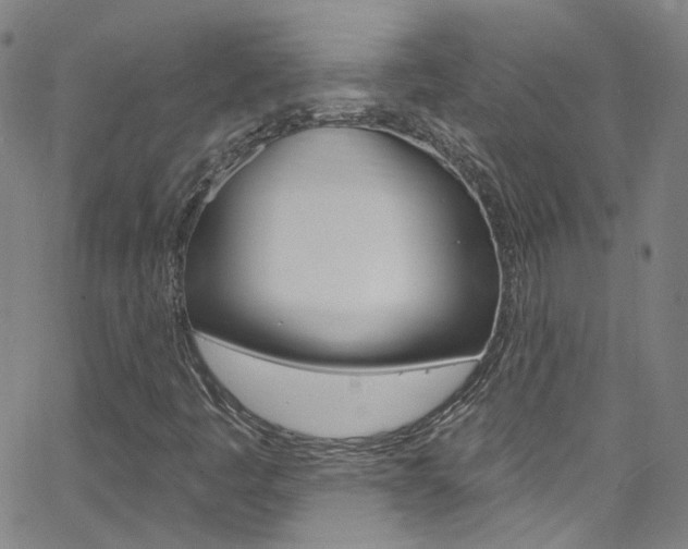 X0000063511445200601201039