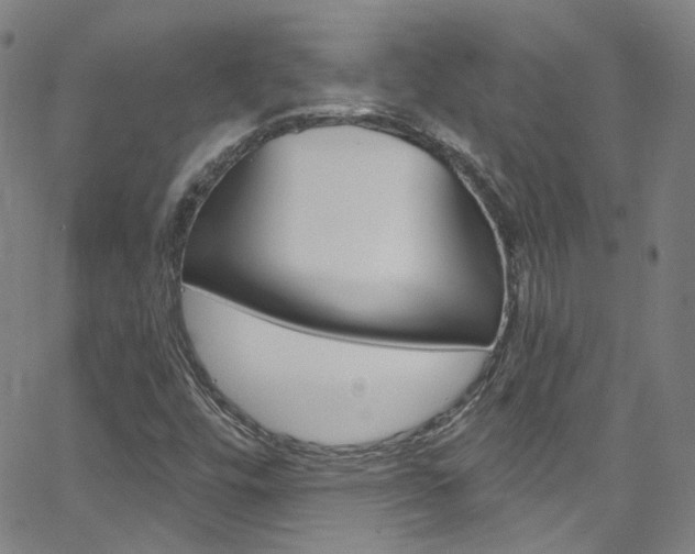 X0000063511448200601201039