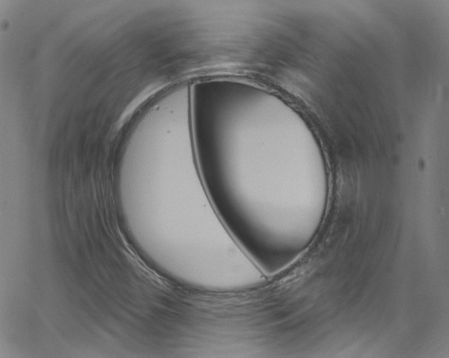 X0000063511450200601201039