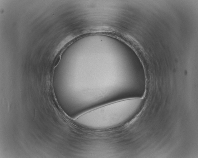 X0000063511457200601201039