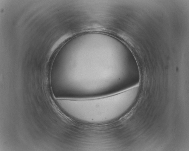 X0000063511458200601201039