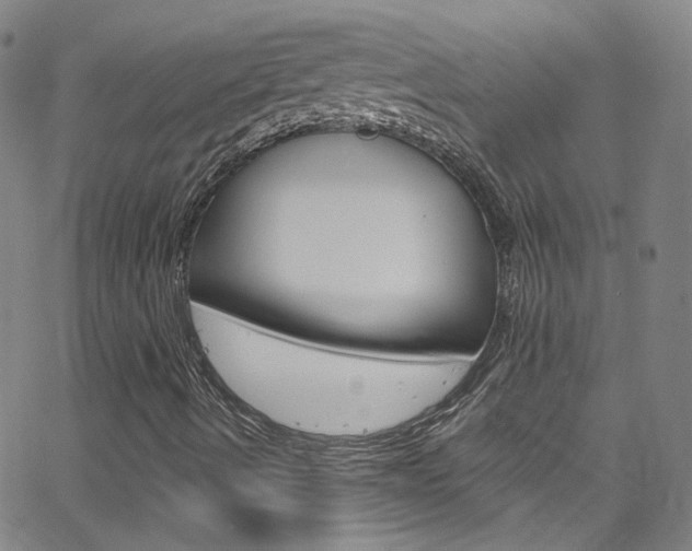 X0000063511490200601201038