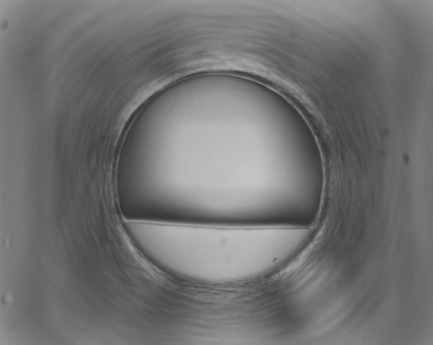 X0000063511513200601201038