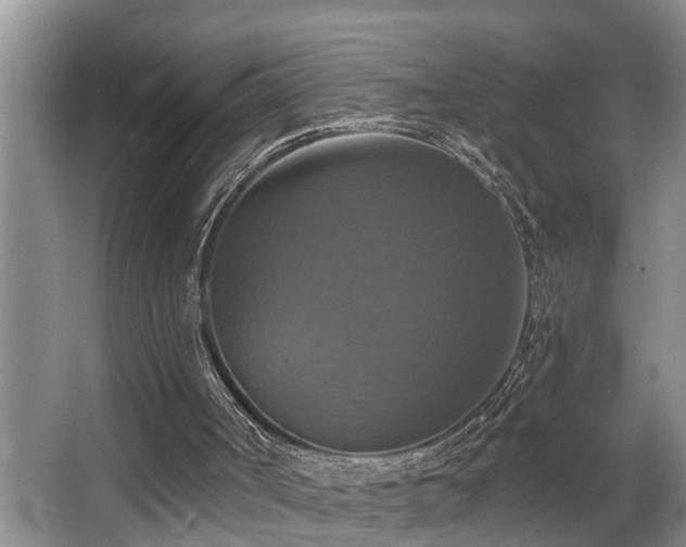 X0000063510002200601201451