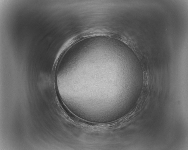 X0000063510004200601201451