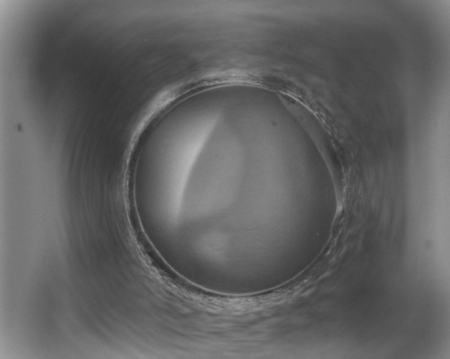 X0000063510006200601201451