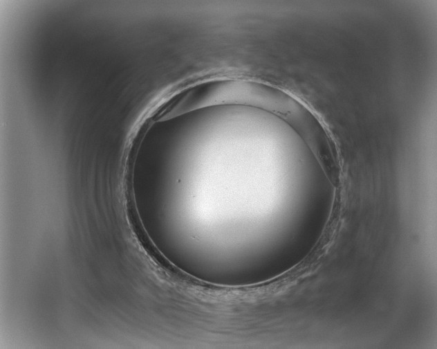 X0000063510007200601201451