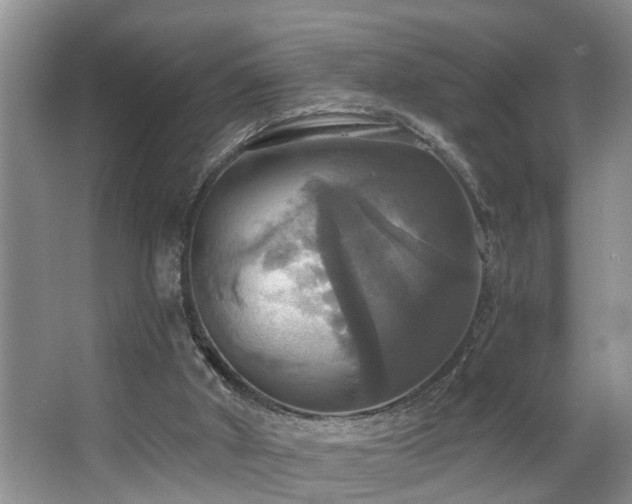 X0000063510010200601201451