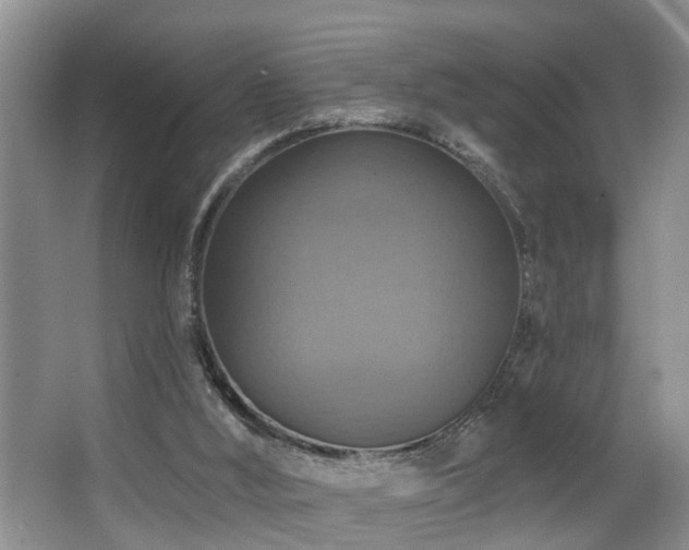 X0000063510012200601201451