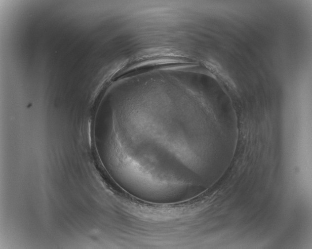 X0000063510014200601201451