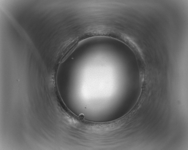 X0000063510017200601201451