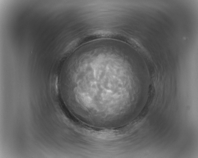 X0000063510024200601201451