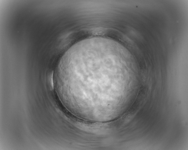 X0000063510028200601201450