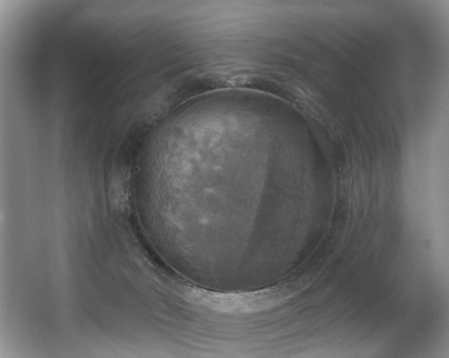 X0000063510030200601201450
