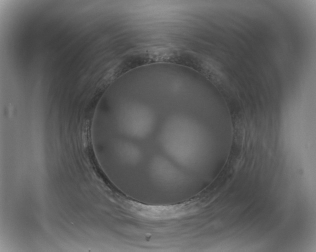 X0000063510034200601201450