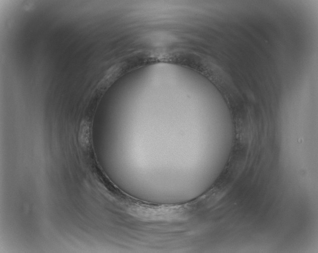 X0000063510036200601201450