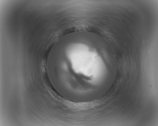 X0000063510038200601201450