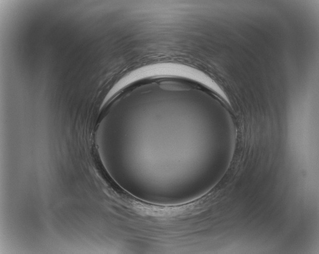 X0000063510039200601201450