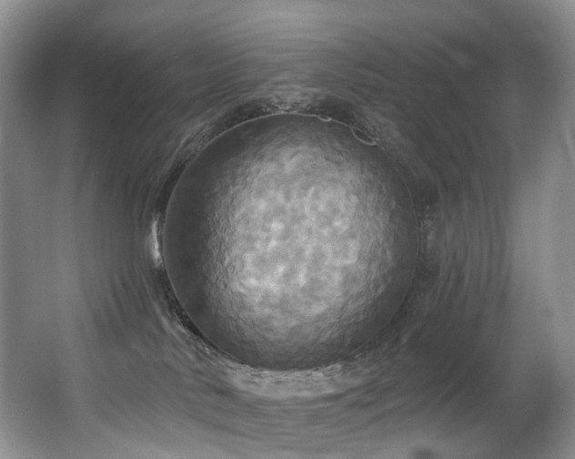 X0000063510042200601201450