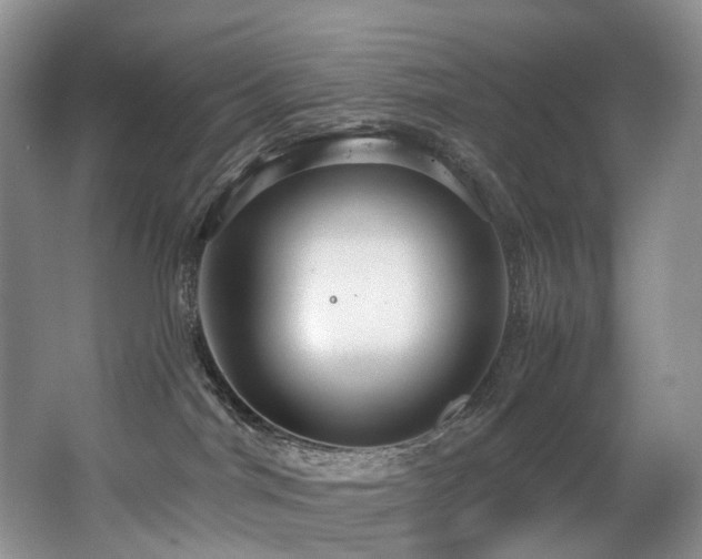 X0000063510044200601201450