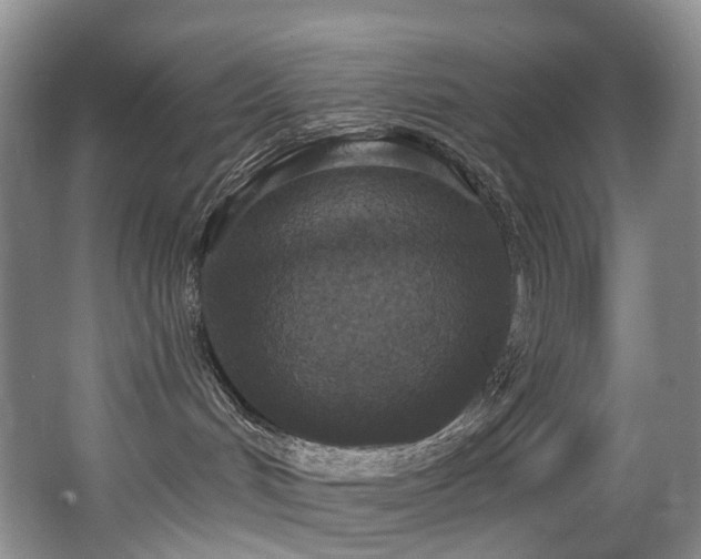 X0000063510048200601201450