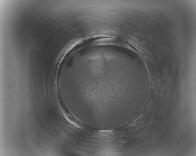 X0000063510050200601201449