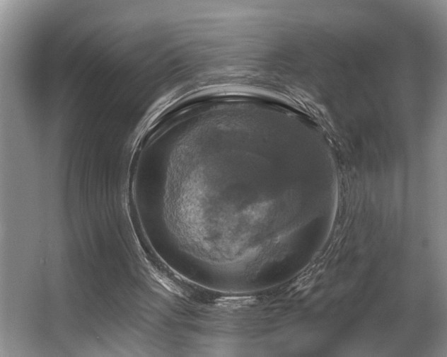 X0000063510051200601201449