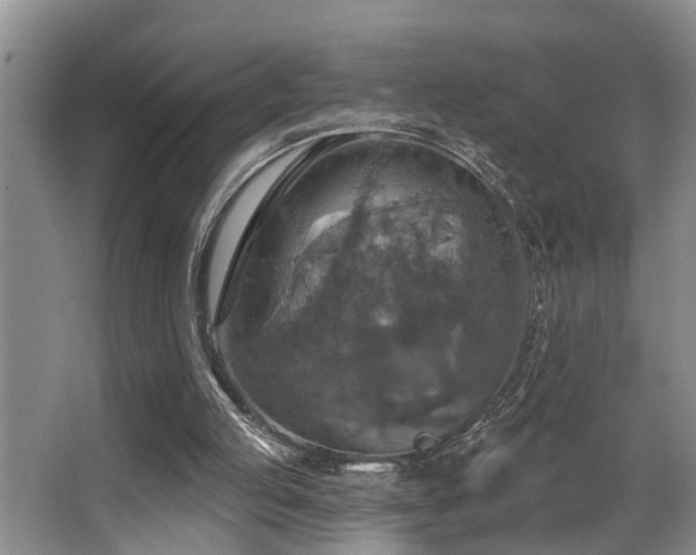 X0000063510053200601201449