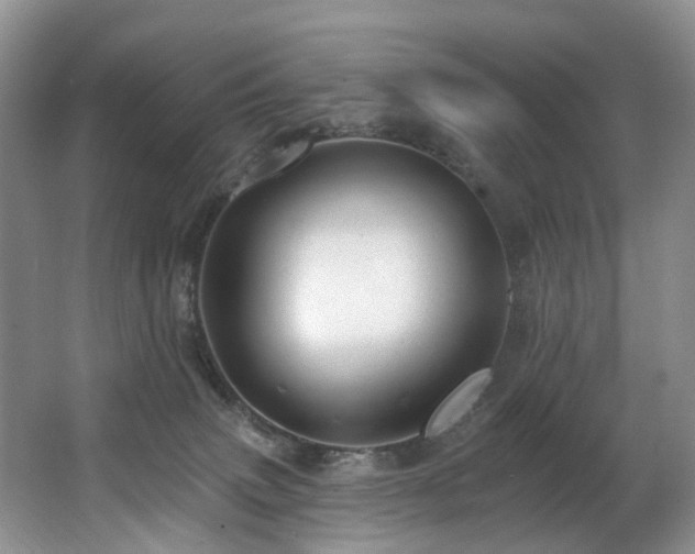 X0000063510083200601201450