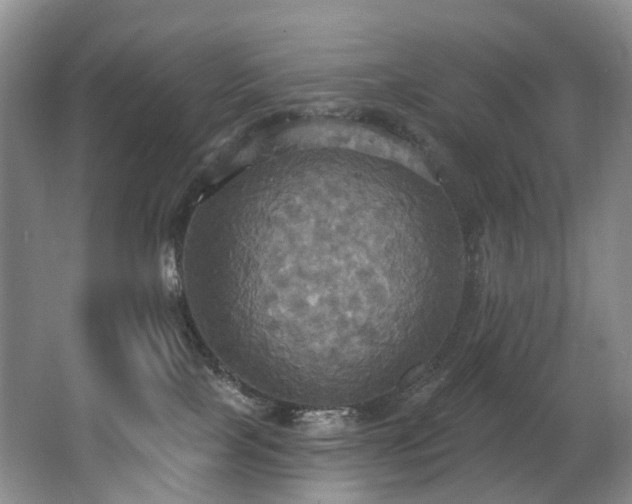 X0000063510089200601201450